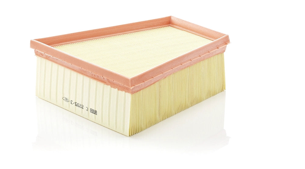 MANN-FILTER C 2295/3 Filtru aer