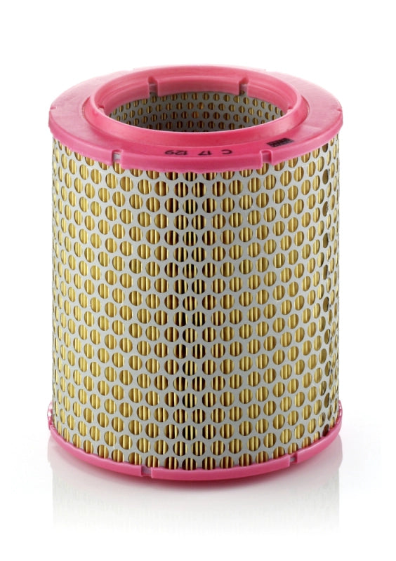 MANN-FILTER C 17 129 Filtru aer