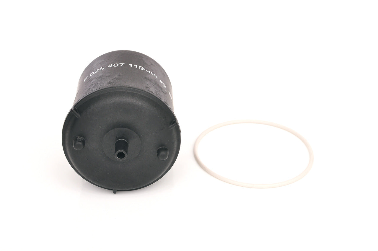 BOSCH F 026 407 119 Filtru ulei