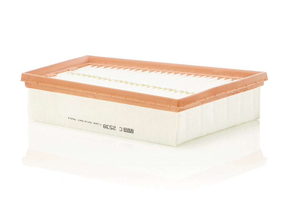MANN-FILTER C 2538 Filtru aer