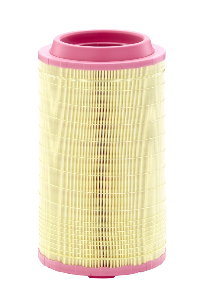 MANN-FILTER C 24 745/6 Filtru aer