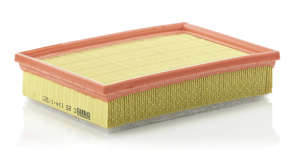 MANN-FILTER C 25 114/1 Filtru aer