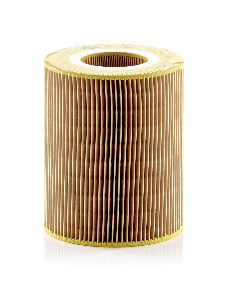 MANN-FILTER C 1381 Filtru aer
