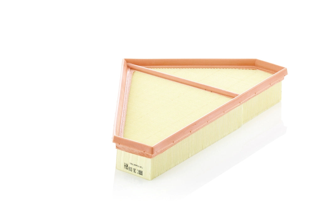 MANN-FILTER C 36 009 Filtru aer