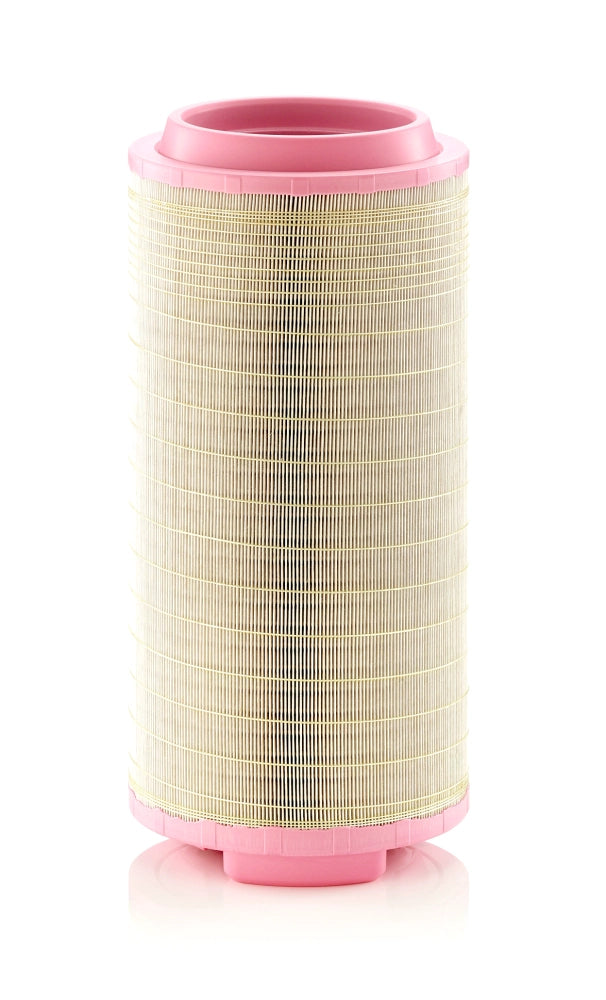 MANN-FILTER C 25 024 Filtru aer
