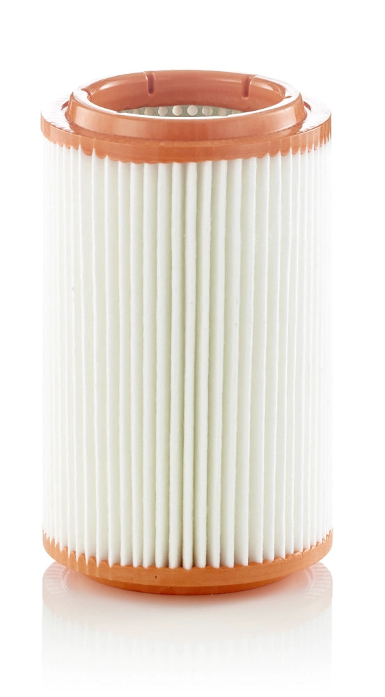 MANN-FILTER C 16 007 Filtru aer