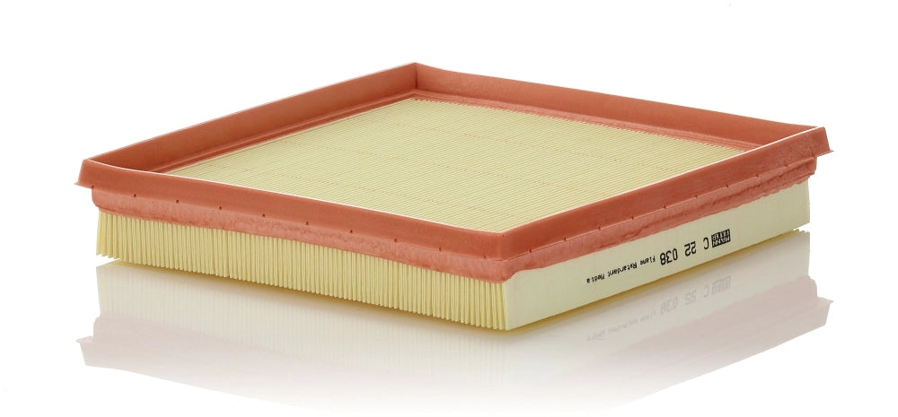 MANN-FILTER C 22 038 Filtru aer