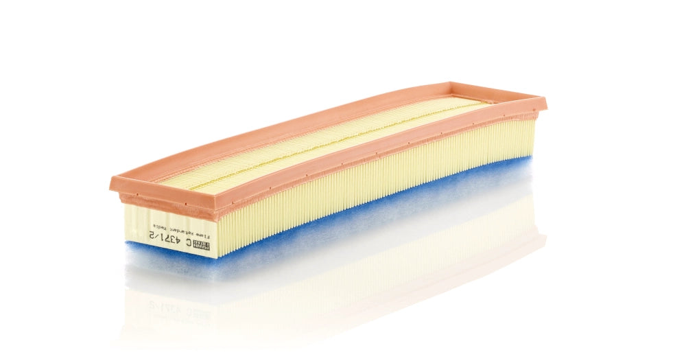 MANN-FILTER C 4371/2 Filtru aer