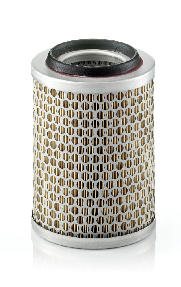 MANN-FILTER C 1396 Filtru aer