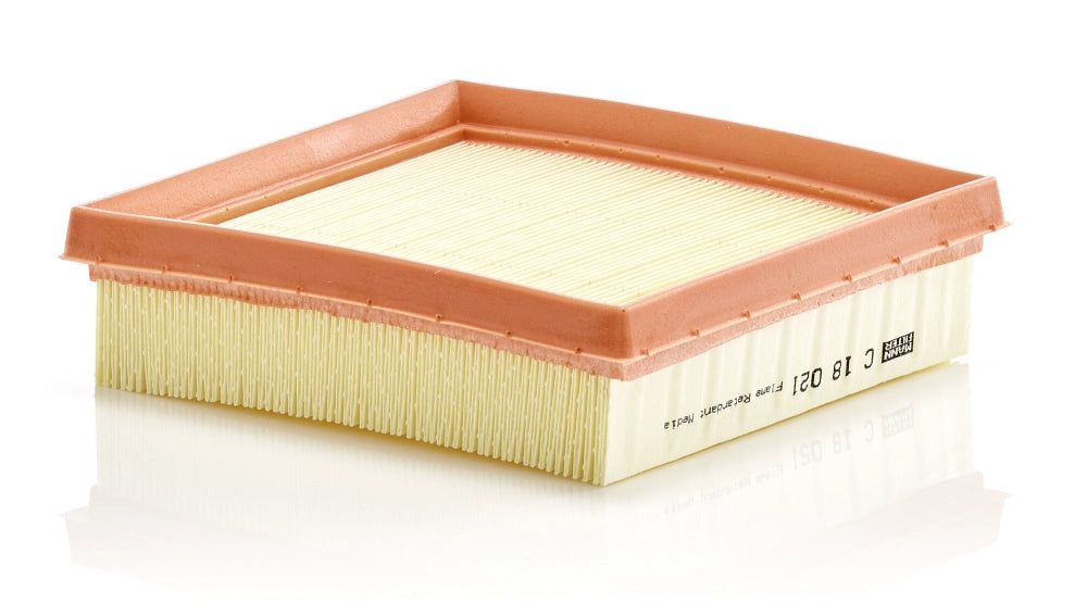 MANN-FILTER C 18 021 Filtru aer