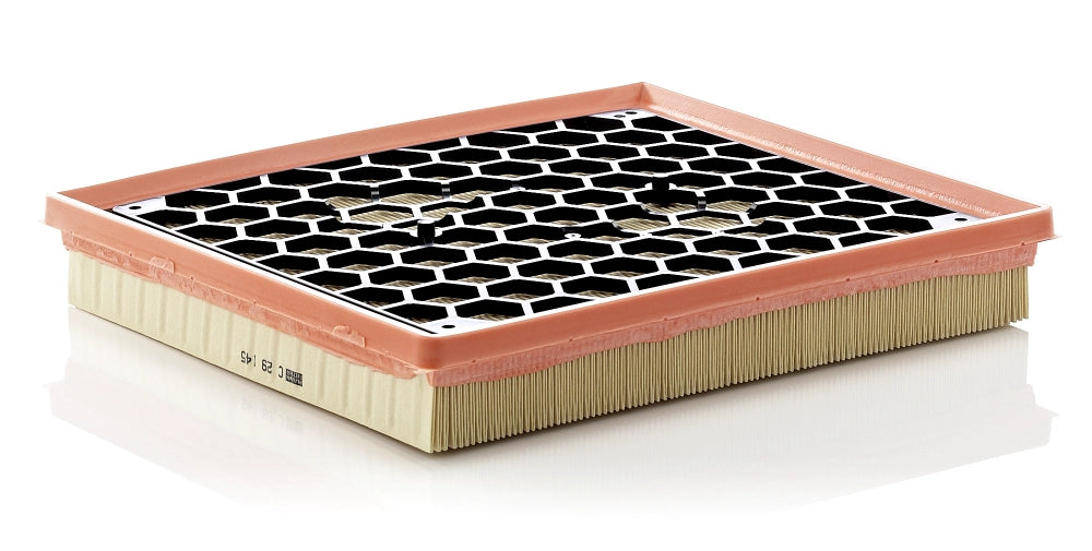MANN-FILTER C 29 145 Filtru aer