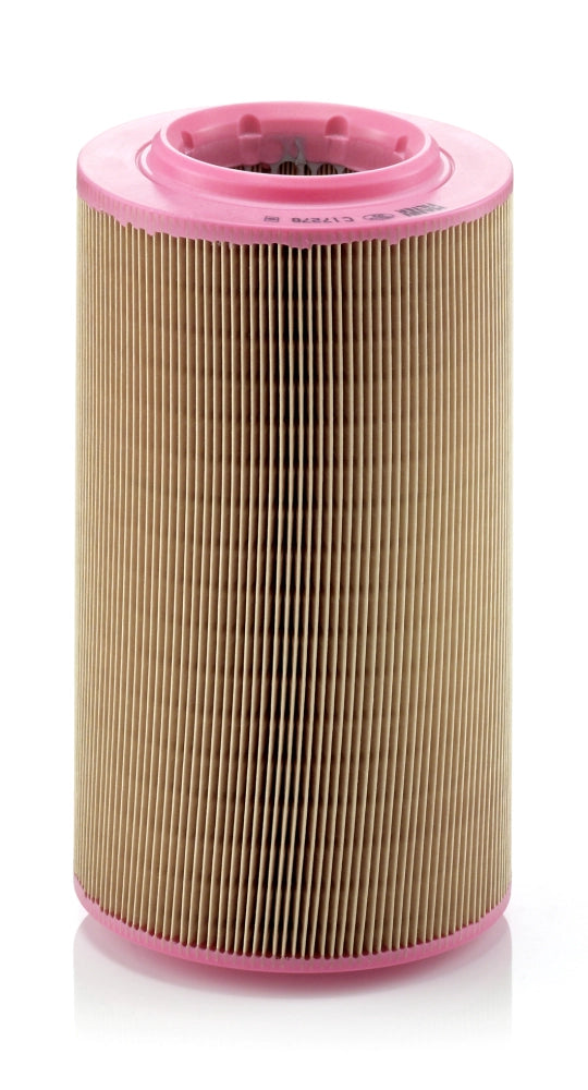 MANN-FILTER C 17 278 Filtru aer