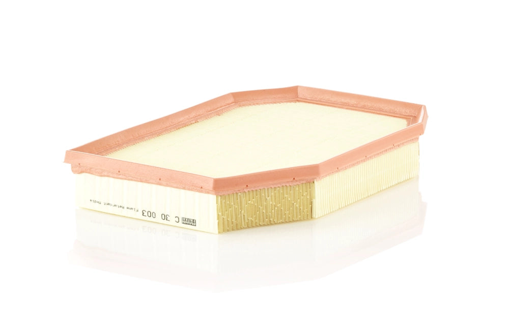 MANN-FILTER C 30 003 Filtru aer