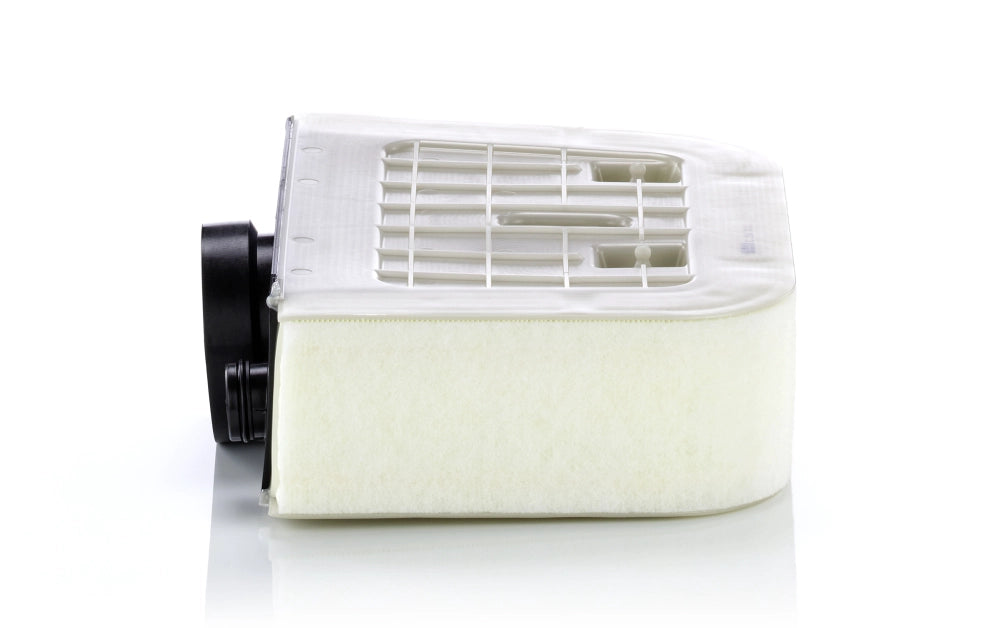 MANN-FILTER C 38 011 Filtru aer