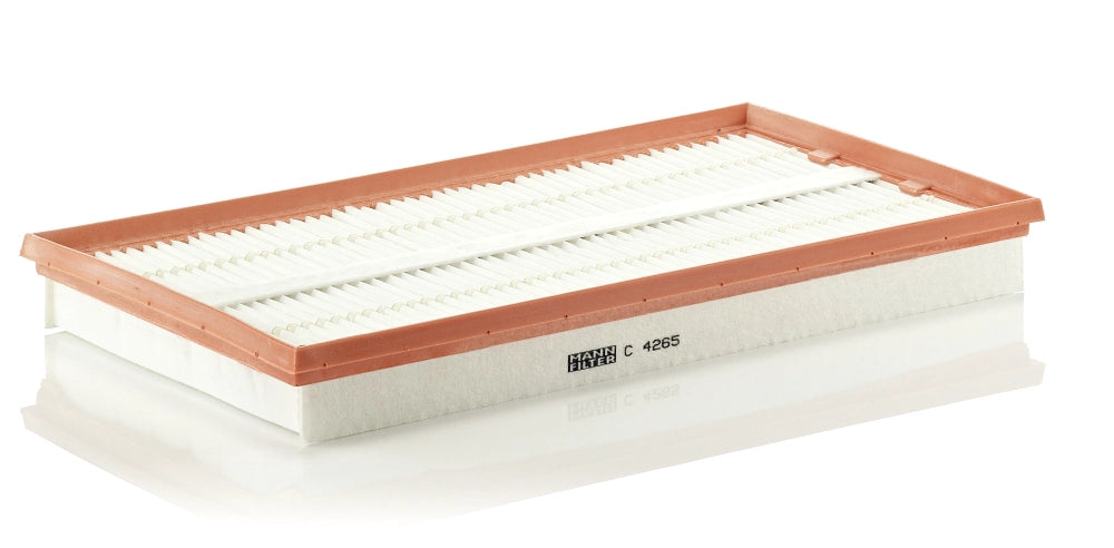 MANN-FILTER C 4265 Filtru aer