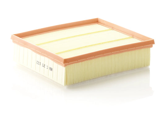 MANN-FILTER C 25 122 Filtru aer