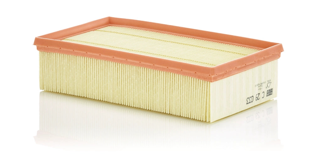MANN-FILTER C 29 033 Filtru aer