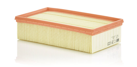 MANN-FILTER C 29 033 Filtru aer