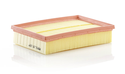 MANN-FILTER C 24 028 Filtru aer