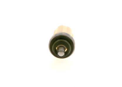 BOSCH 2 447 010 042 Filtru combustibil