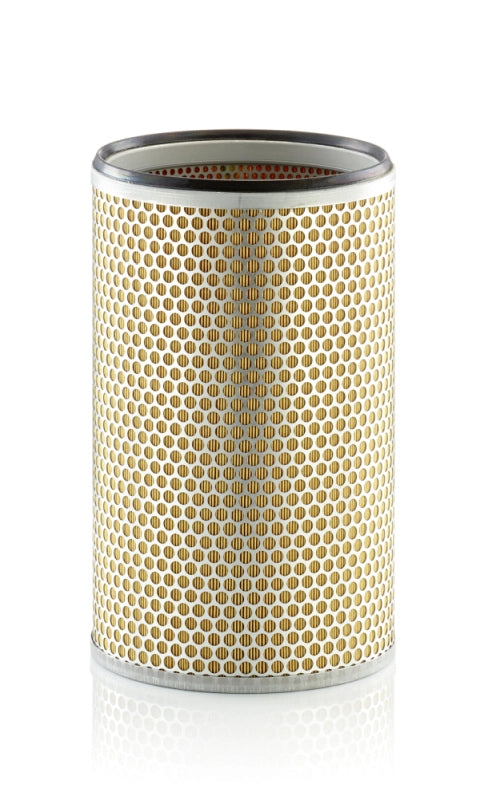 MANN-FILTER C 20 118 Filtru aer