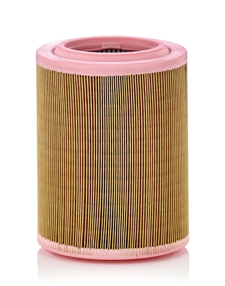 MANN-FILTER C 18 003 Filtru aer