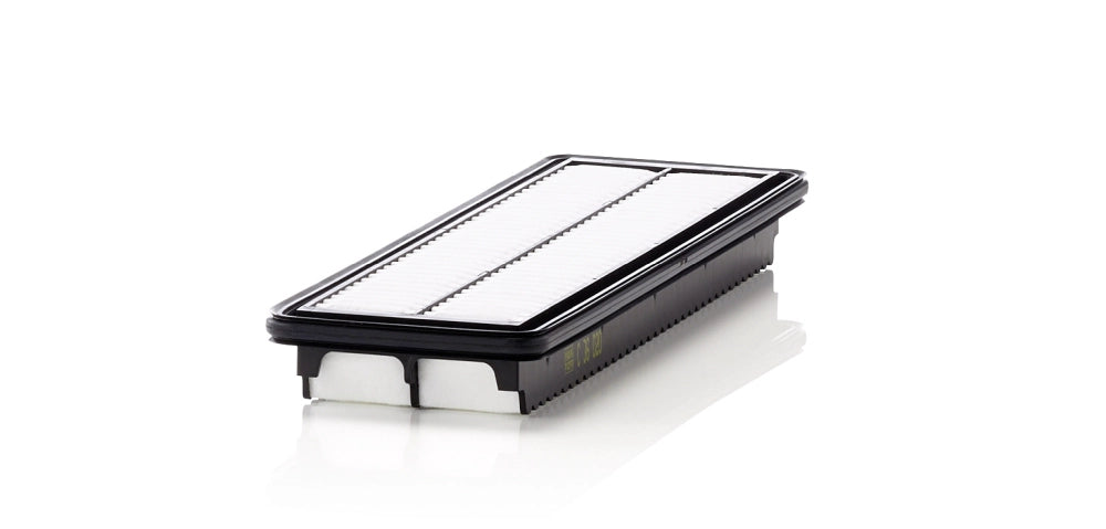 MANN-FILTER C 36 020 Filtru aer