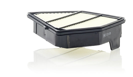 MANN-FILTER C 25 028 Filtru aer