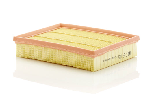 MANN-FILTER C 25 035 Filtru aer