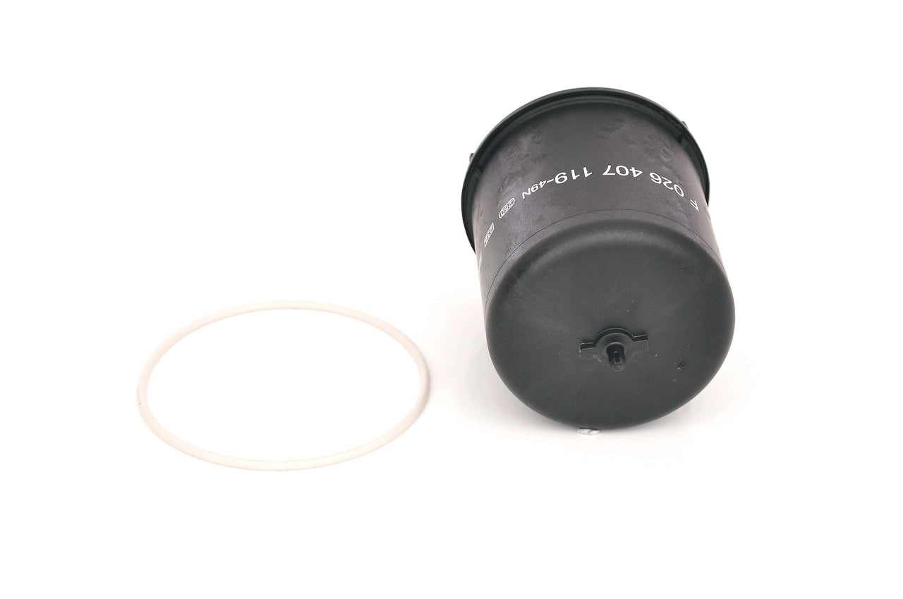 BOSCH F 026 407 119 Filtru ulei