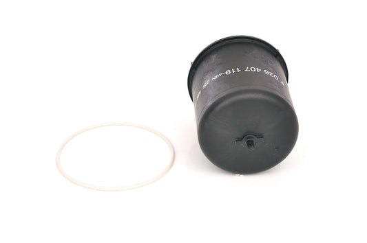BOSCH F 026 407 119 Filtru ulei