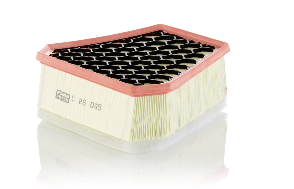 MANN-FILTER C 26 065 Filtru aer