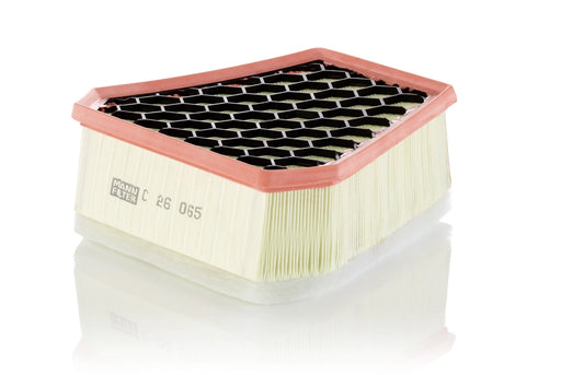 MANN-FILTER C 26 065 Filtru aer