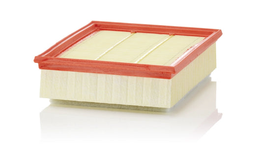 MANN-FILTER C 25 018 Filtru aer