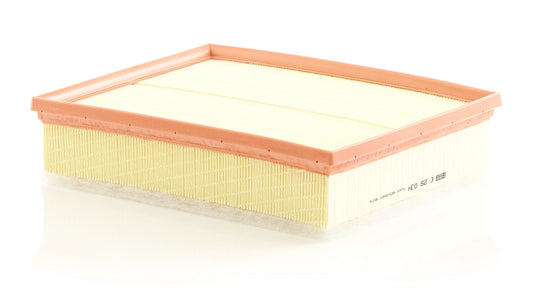 MANN-FILTER C 29 034 Filtru aer