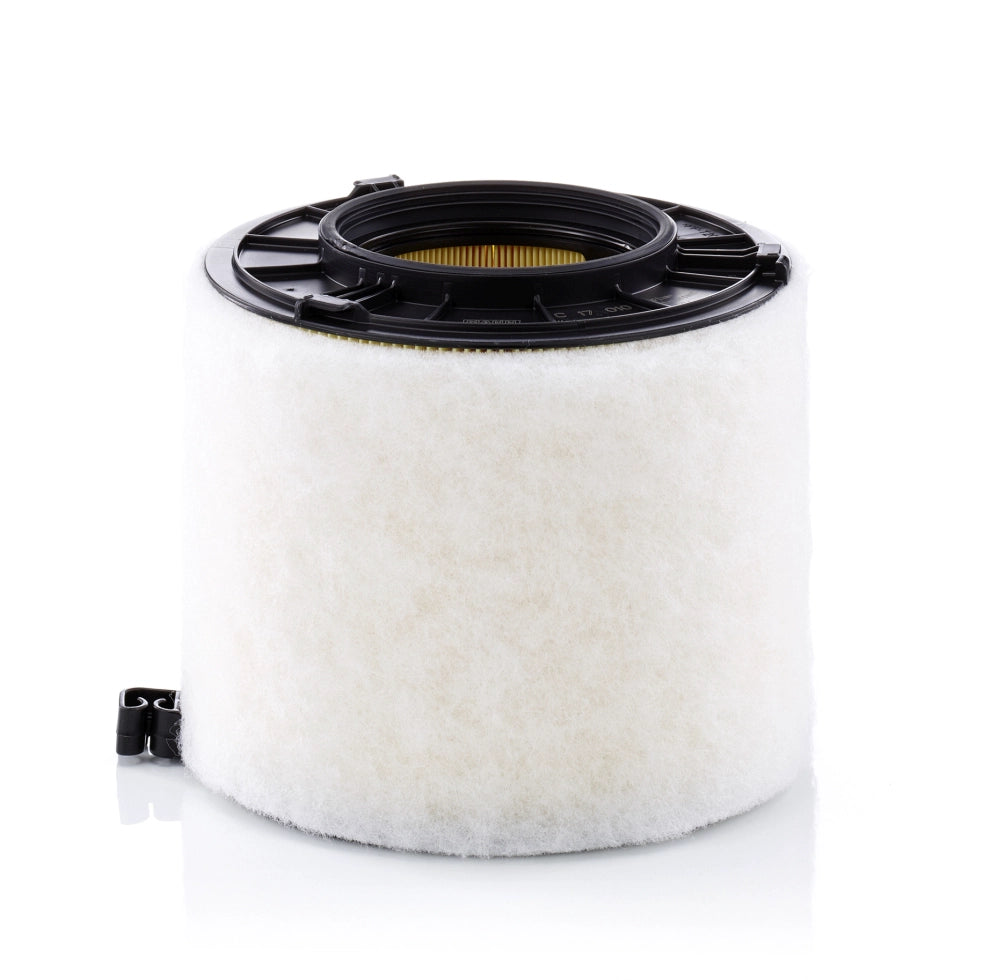 MANN-FILTER C 17 010 Filtru aer