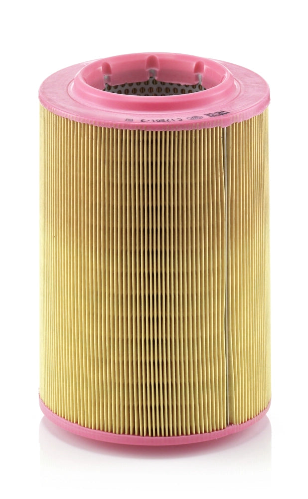 MANN-FILTER C 17 201/3 Filtru aer