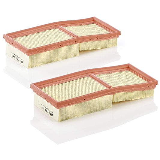MANN-FILTER C 2861-2 Filtru aer