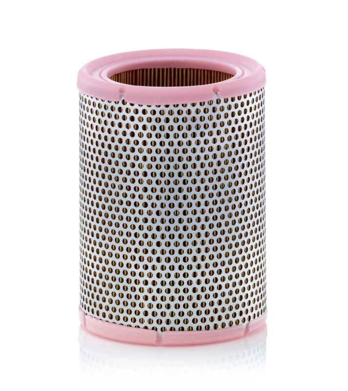 MANN-FILTER C 1362 Filtru aer
