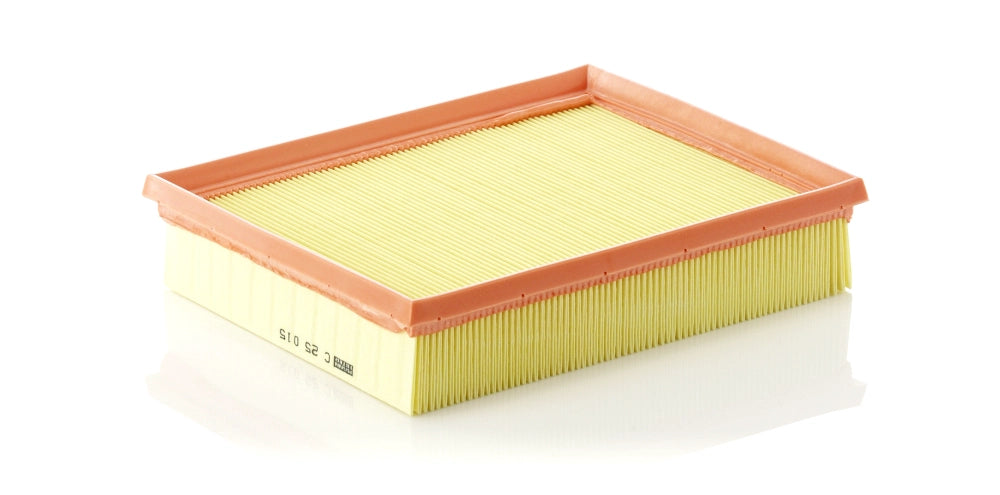 MANN-FILTER C 25 015 Filtru aer