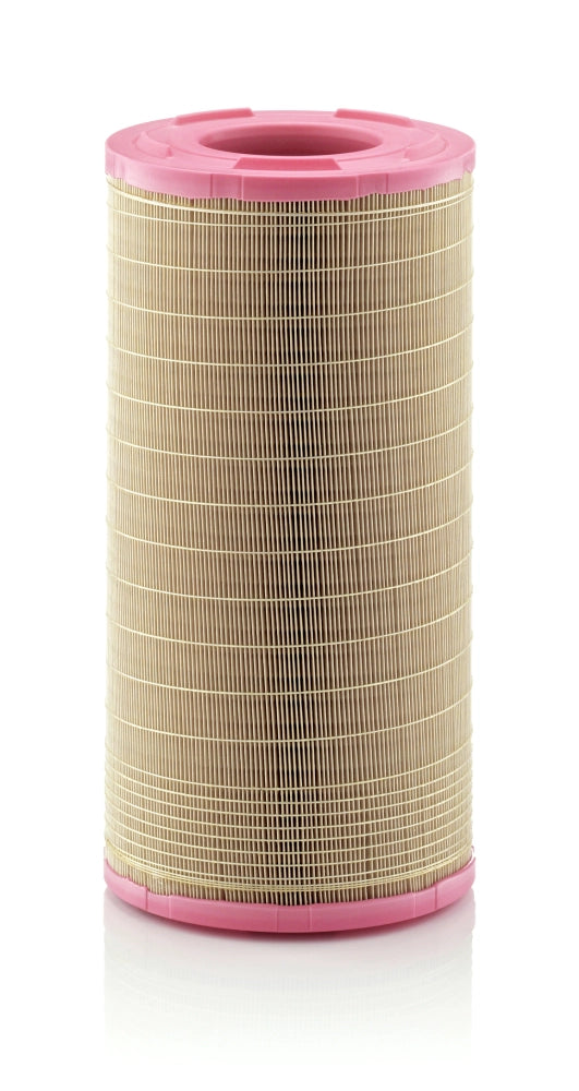 MANN-FILTER C 25 978 Filtru aer