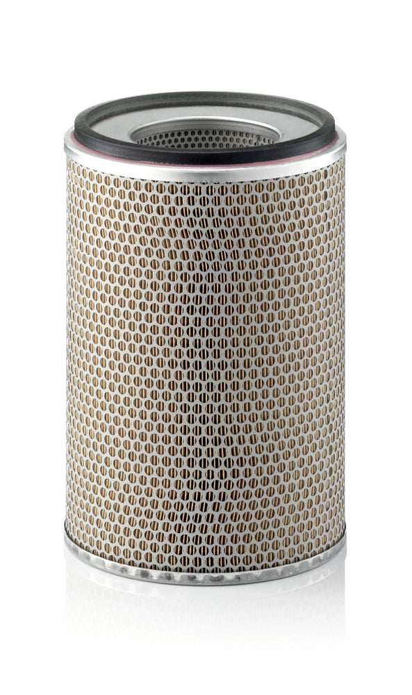MANN-FILTER C 24 719 Filtru aer
