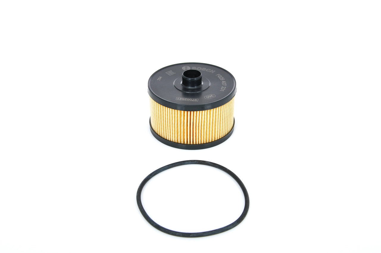 BOSCH F 026 407 231 Filtru ulei