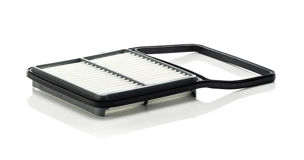 MANN-FILTER C 29 002 Filtru aer