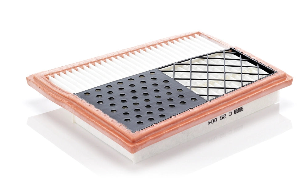 MANN-FILTER C 25 004 Filtru aer
