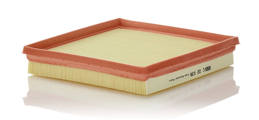 MANN-FILTER C 22 038 Filtru aer