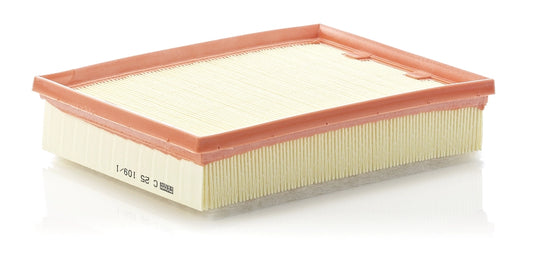 MANN-FILTER C 25 109/1 Filtru aer