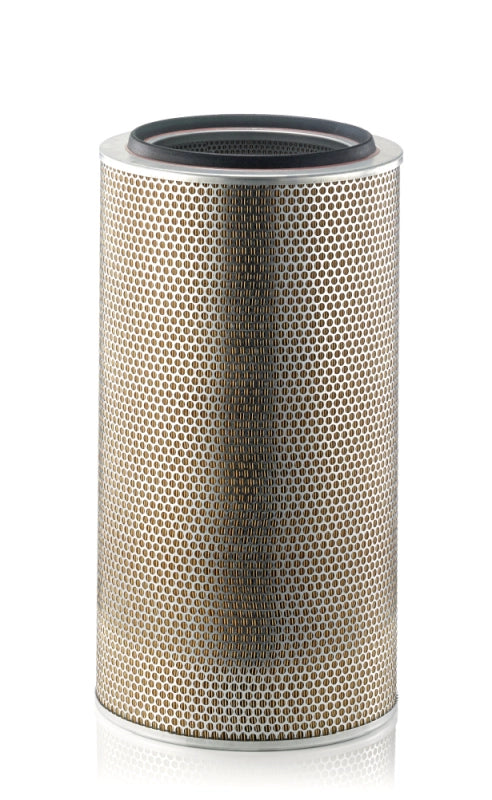 MANN-FILTER C 33 920/3 Filtru aer