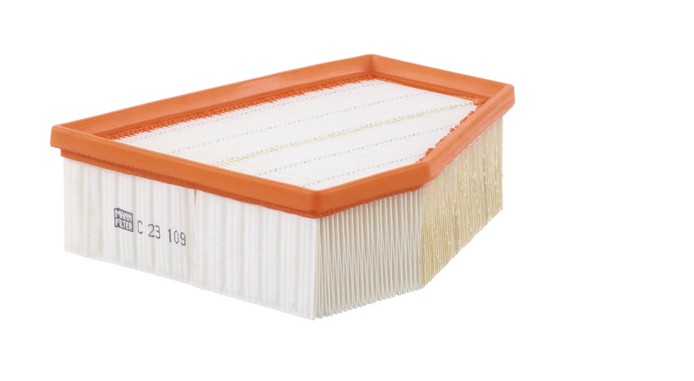 MANN-FILTER C 23 109 Filtru aer