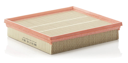 MANN-FILTER C 25 135 Filtru aer